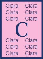 Name and Initial Stroller Blanket