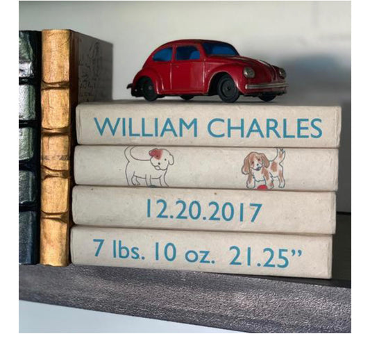 4 Volume Decorative Book Set for Boy