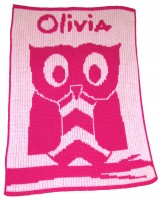 Owl Stroller Blanket